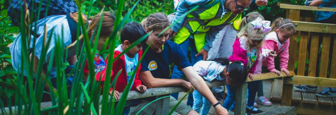 Community environmental education at TCV Skelton Grange Environment Centre, Leeds