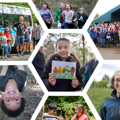 TCV Skelton Grange Environment Centre, Leeds, collage