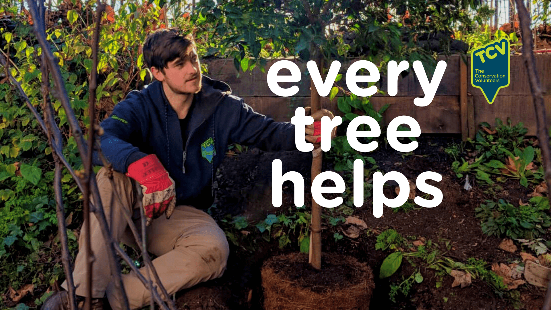 every tree helps (1) every tree helps (1)