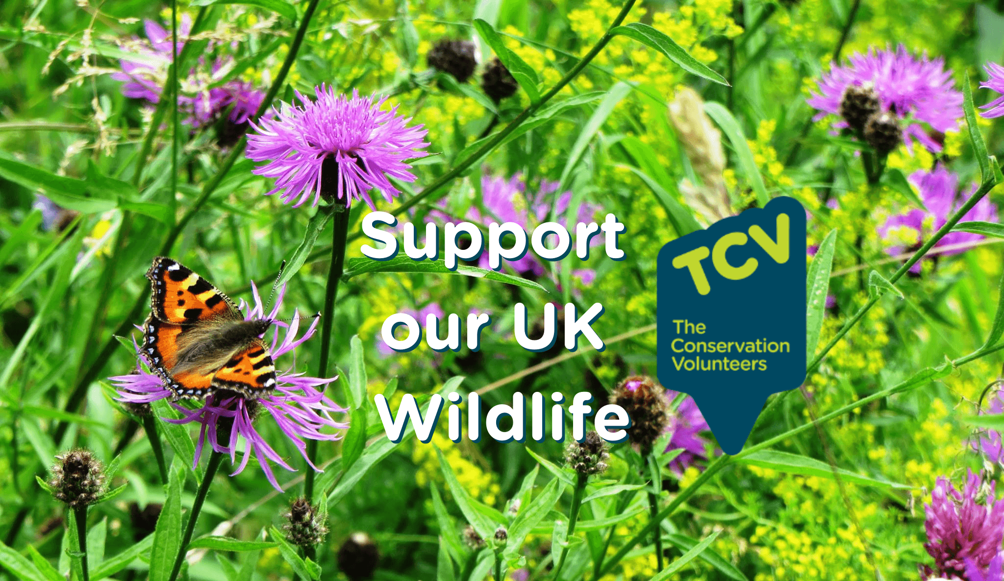 Support our UK Wildlife (1)