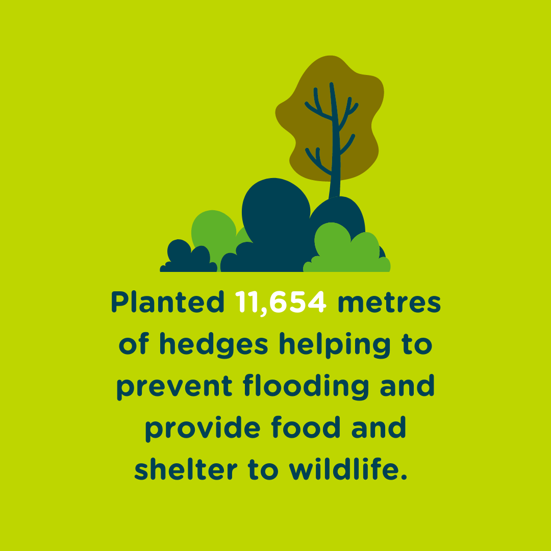 Wildlife TCV - GIF 2 Wildlife TCV - GIF 2