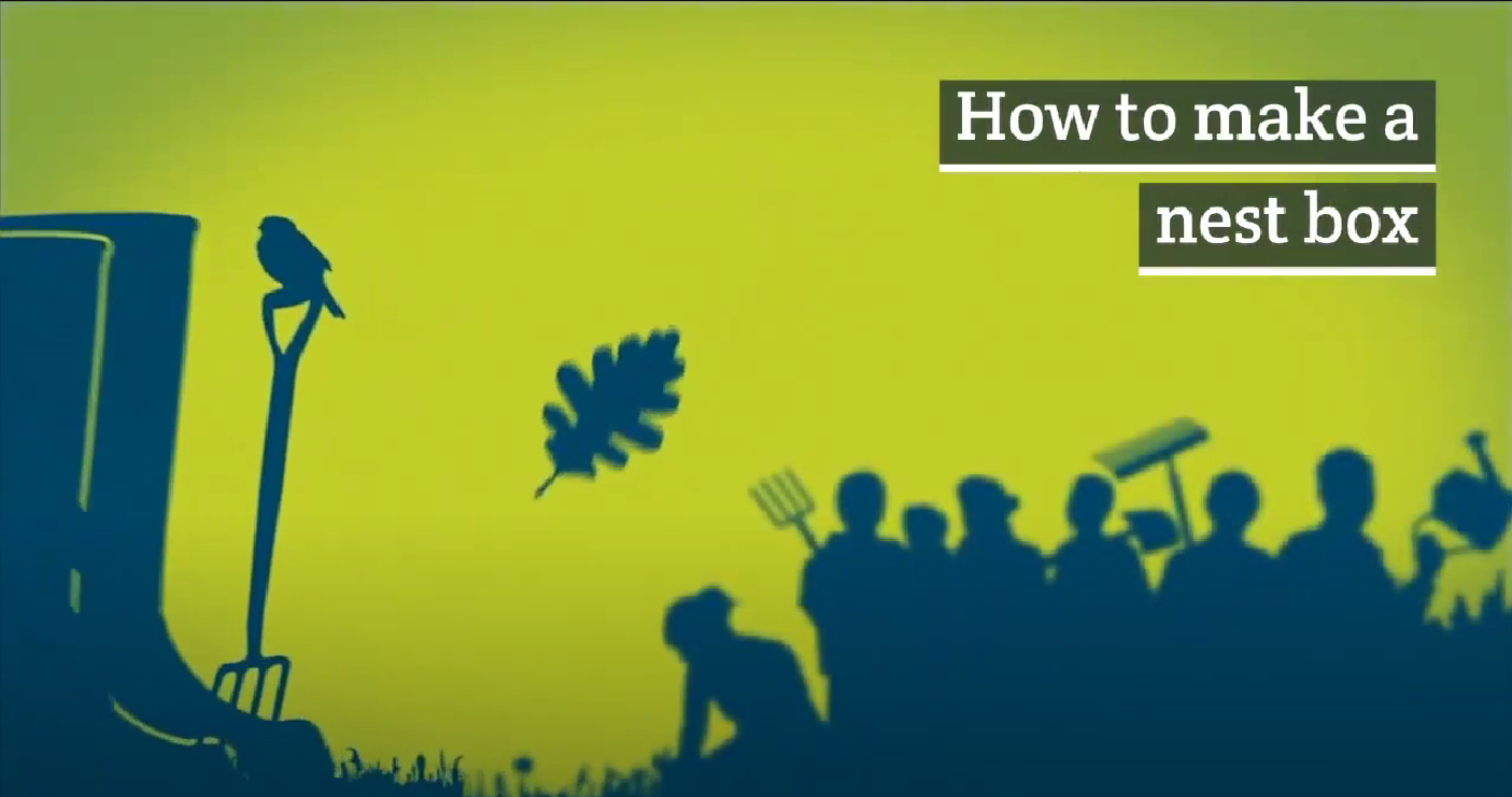 How to make a nest box