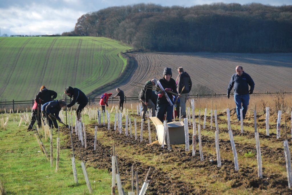 People planting trees with farmland in the background