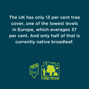 The UK has only 13 per cent tree cover, one of the lowest levels in Europe, which averages 37 per cent. And only half of that is currently native broadleaf.
