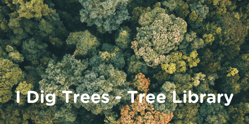 Bird's eye view of tree canopy with the wording I Dig Trees Tree Library