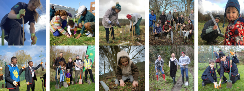 Mosaic of 10 images of people planting trees