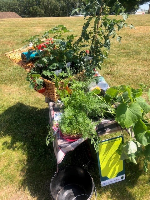 Victoria School wheelbarrow entry.