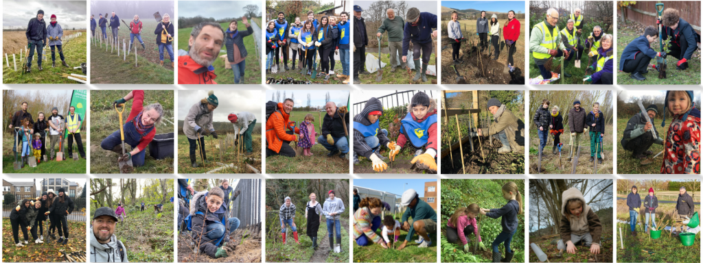 TCV I Dig Trees collage of community planters
