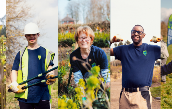 TCV Volunteers