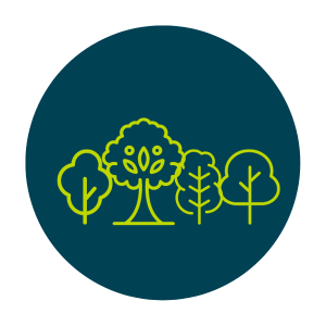 Create pocket forests Create pocket forests