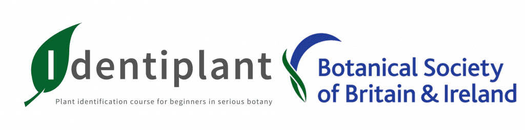 Identiplant & BSBI Logo