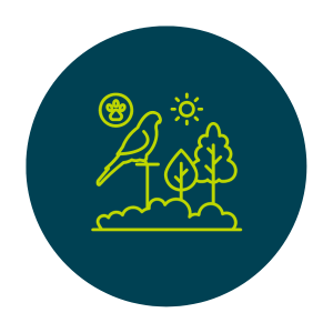 Provide wildlife habitats Provide wildlife habitats