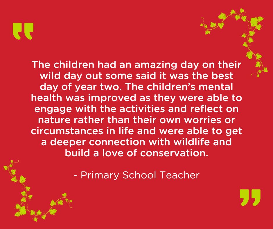 Wild Days Out primary school teacher quote