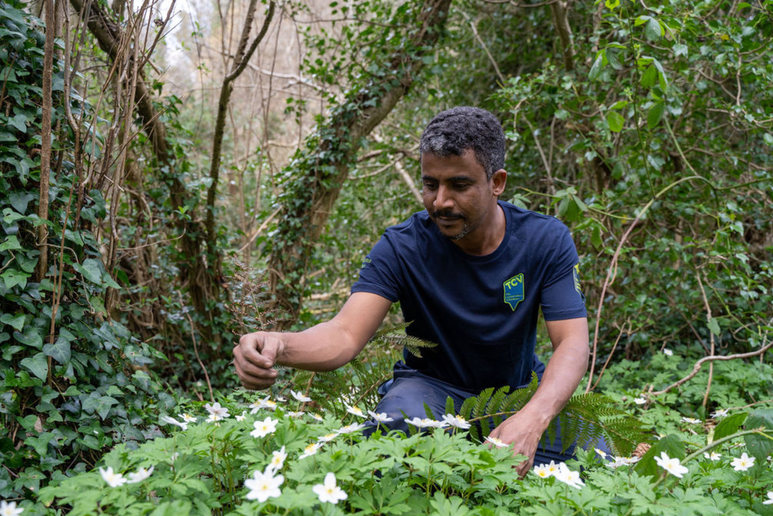 NI Flower Picking