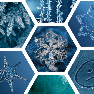 Collage of winter nature pictures