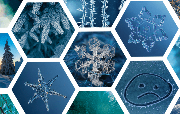 Collage of winter nature pictures