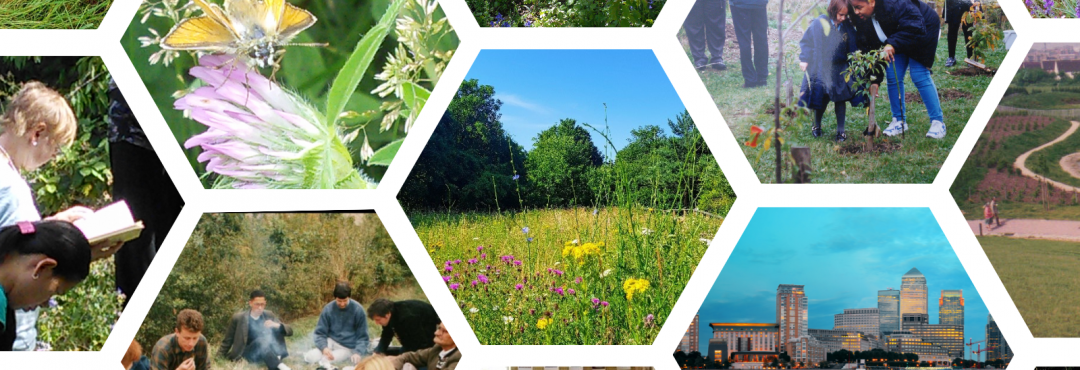 TCV Stave Hill Ecological Park collage