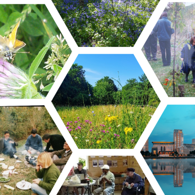 TCV Stave Hill Ecological Park collage