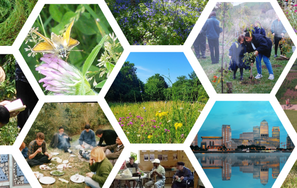 TCV Stave Hill Ecological Park collage