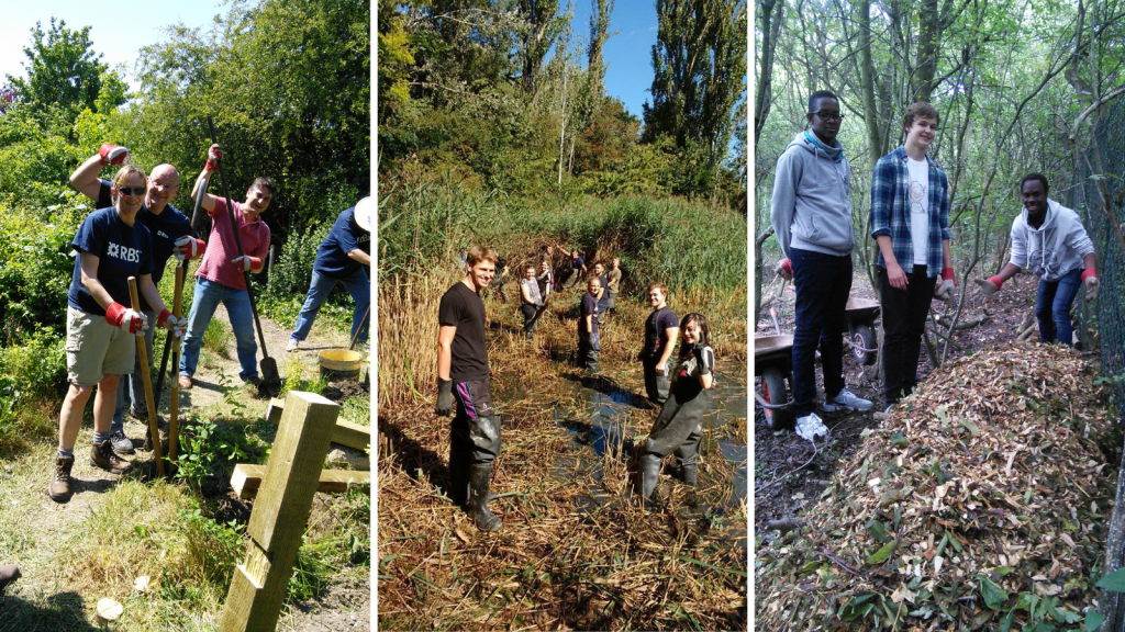 Collage of TCV volunteers at Stave Hill Ecological Park