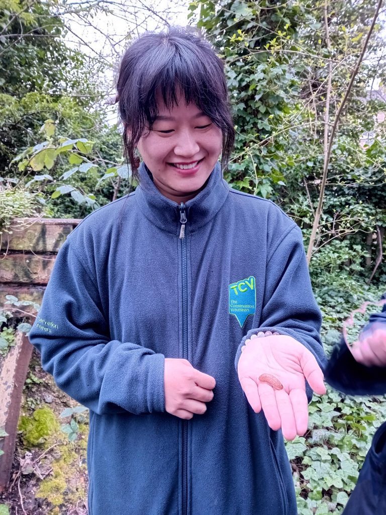 TCV female holding a slug