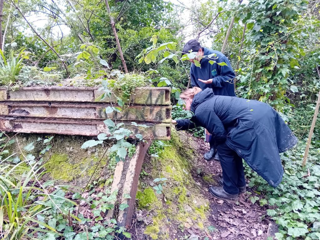 Two people looking at woodland habitat on old railway stopper
