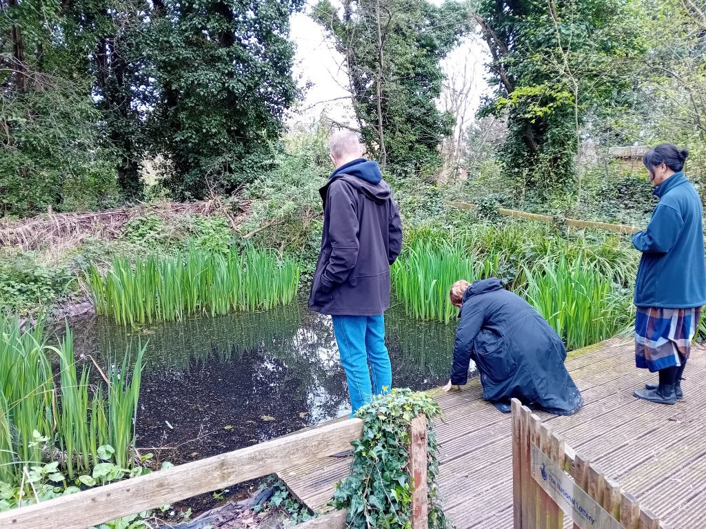 Group looking at a pond from a pond dipping platform TCV Railway Fields