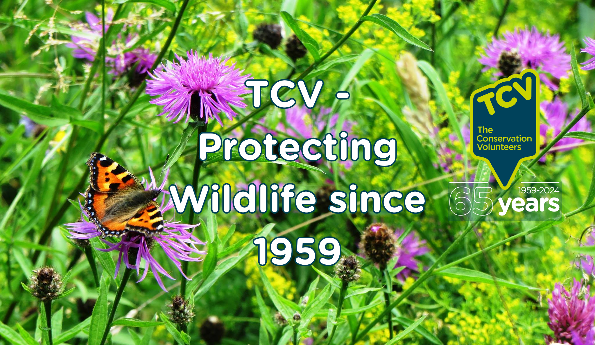 Heading (1) Wildlife Quiz landing page - 65th year