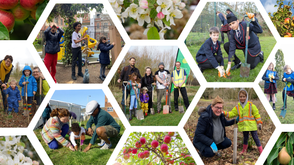 TCV I Dig Trees collage of people planting trees and fruit trees