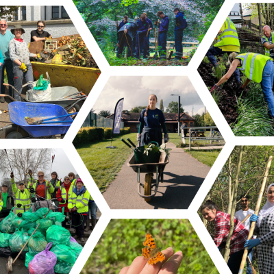 TCV volunteers litter picking collage