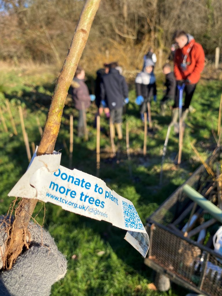 2023 TCV I Dig Trees North Baddesley Junior School 2 2023 TCV I Dig Trees North Baddesley Junior School 2