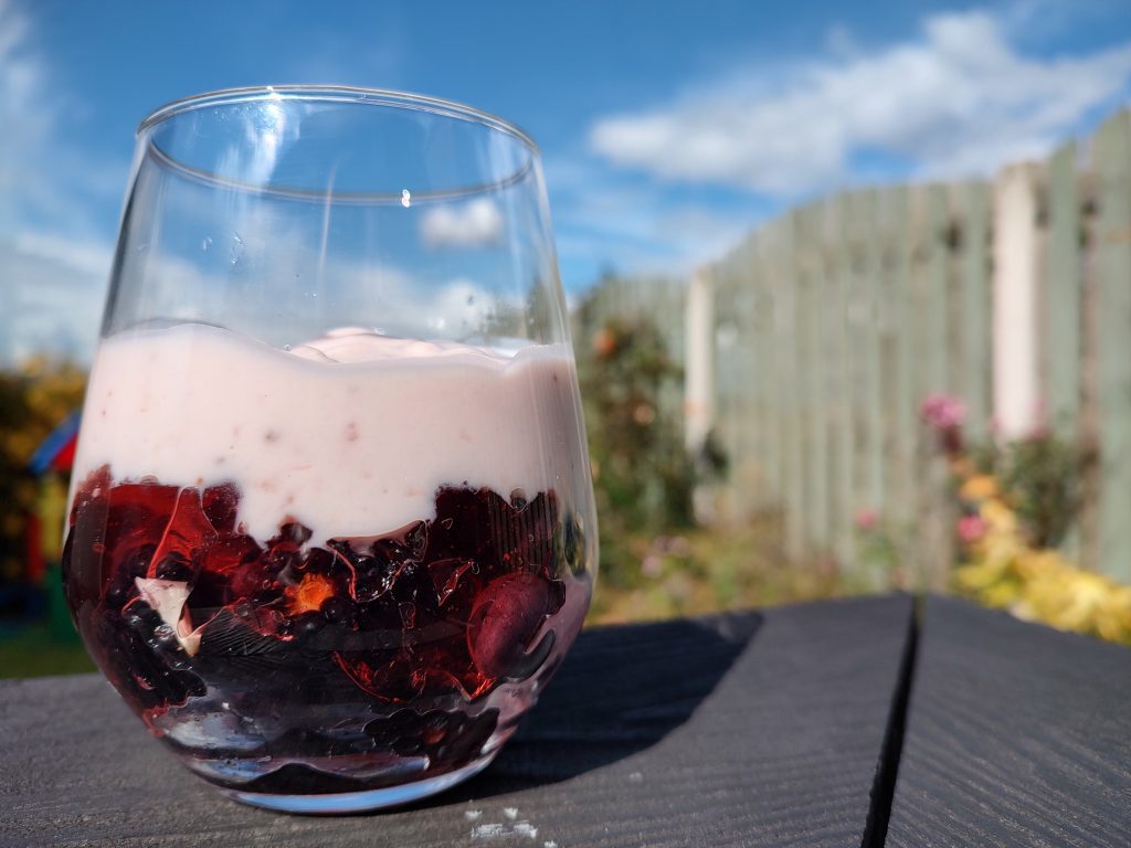Glass of berry and yoghurt pudding in a garden