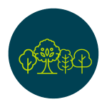 Create pocket forests