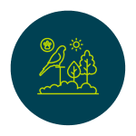 Provide wildlife habitats