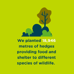 Impact stat wildlife homes