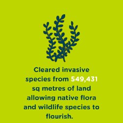 Impact stat - invasive species clearing