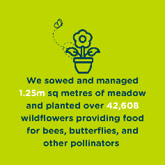 Impact stat - created meadows