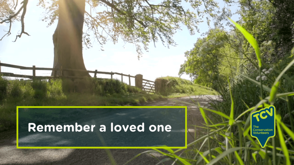 Banner In Memory Landing Page