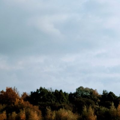 Autumn trees and a cloudy sky