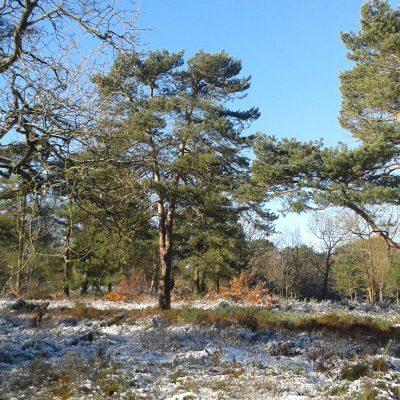 Addington Hills