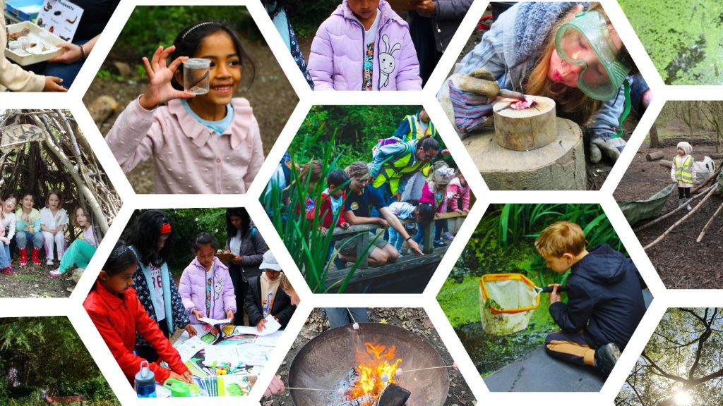 TCV collage of 'Wild Days Out' children.
