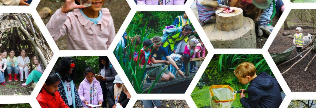 TCV collage of 'Wild Days Out' children.