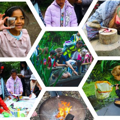 TCV collage of 'Wild Days Out' children.