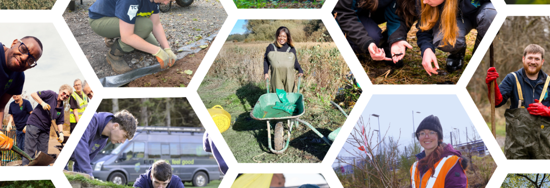 TCV trainees and volunteers on various conservation activities