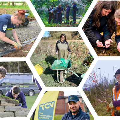 TCV trainees and volunteers on various conservation activities