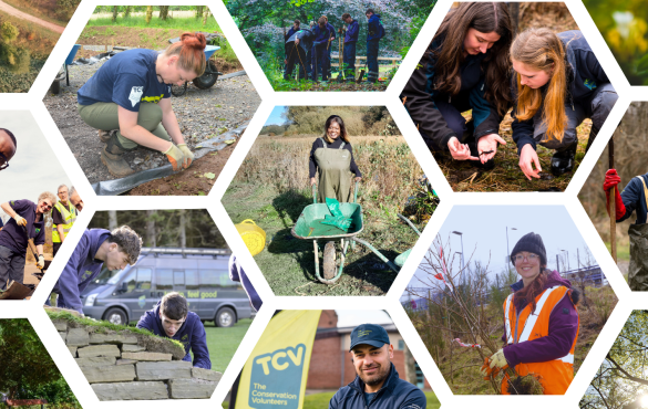 TCV trainees and volunteers on various conservation activities