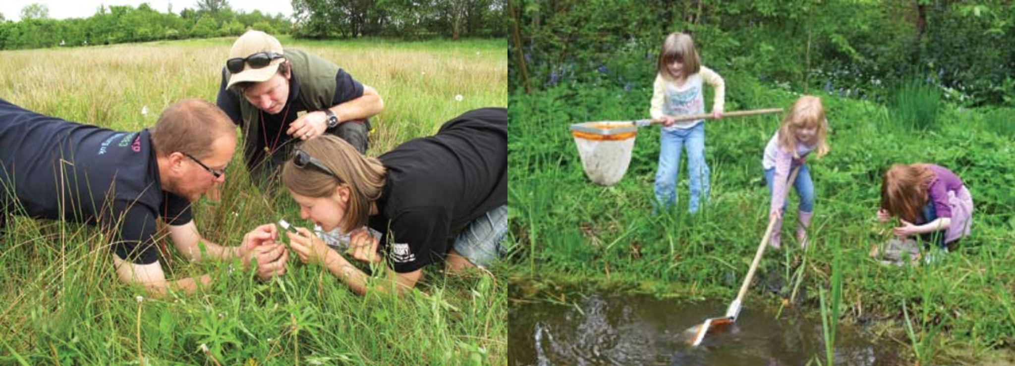 Science Help People Citizen Science: Something for Everyone