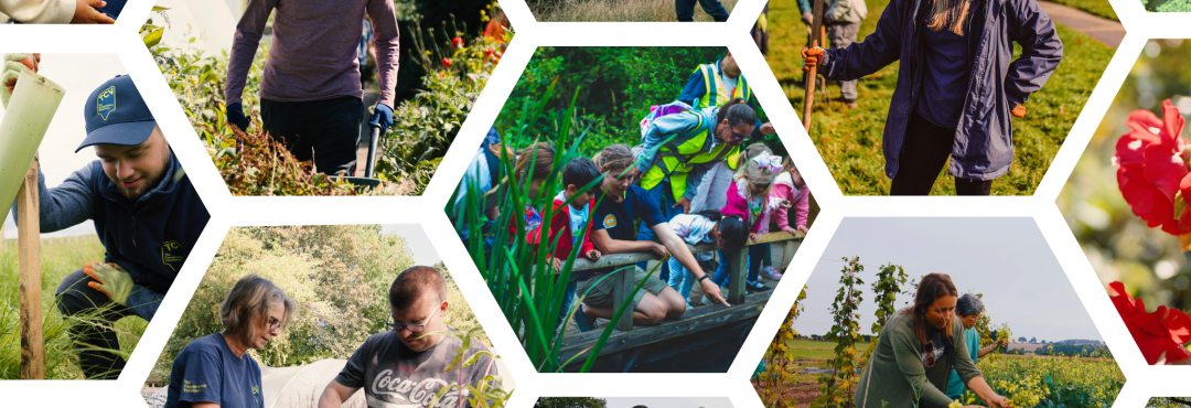 TCV volunteering collage - citizen science