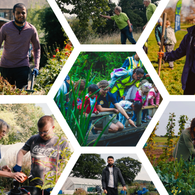 TCV volunteering collage - citizen science
