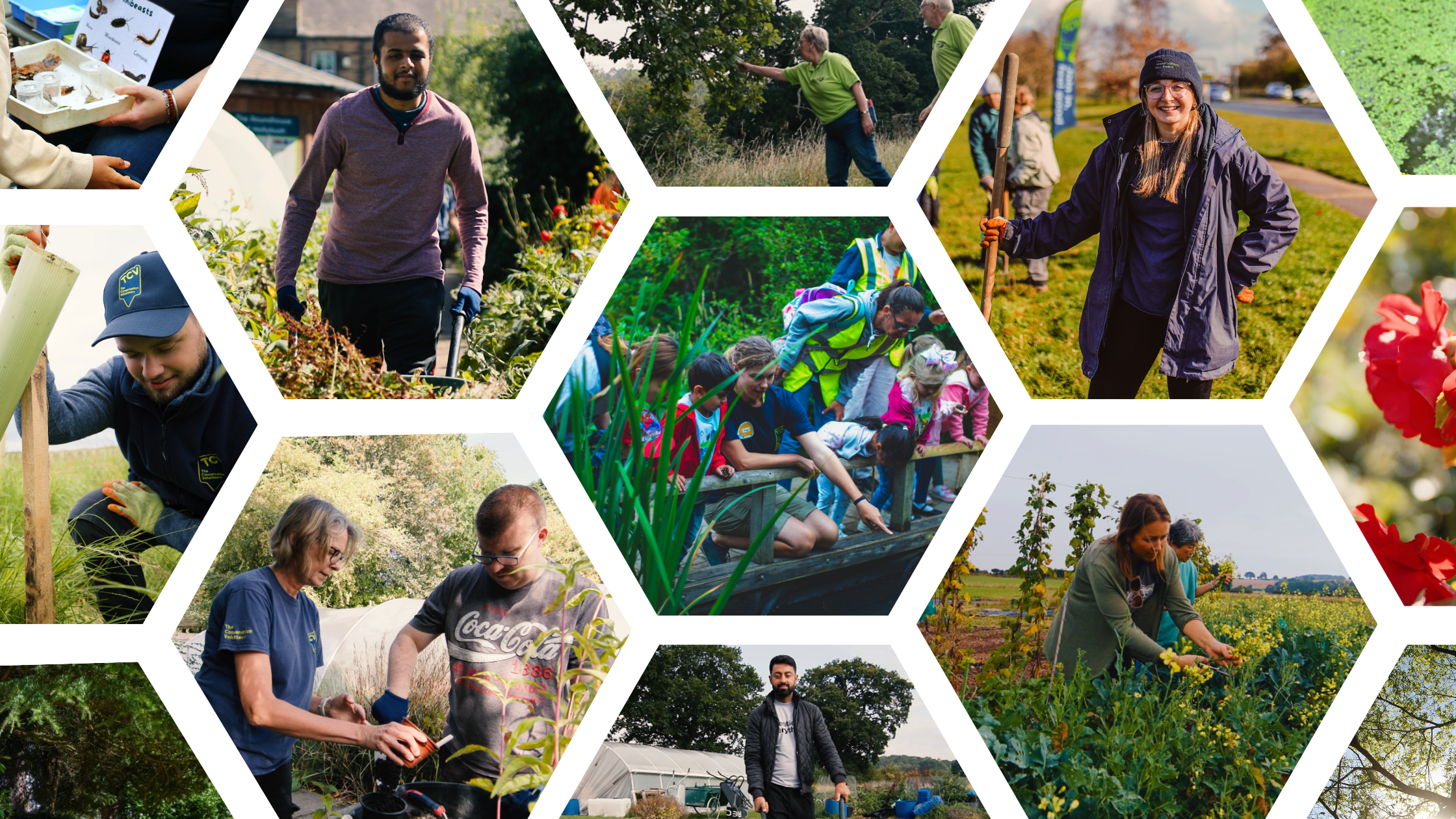 TCV volunteering collage - citizen science